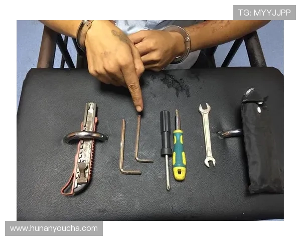 专访陈强:探寻网球界的成功秘诀与背后的故事