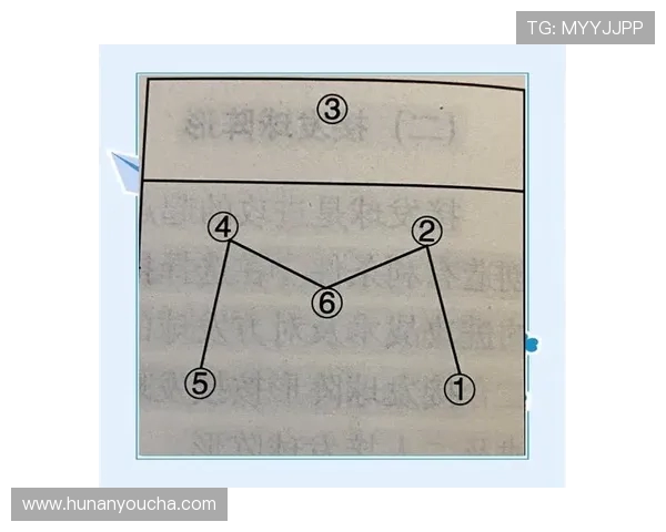 北京排球队配合策略分析与战术提升探讨